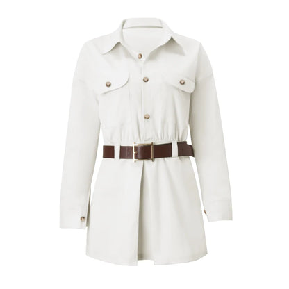 Retro Turn-Down Collar Mini Dress